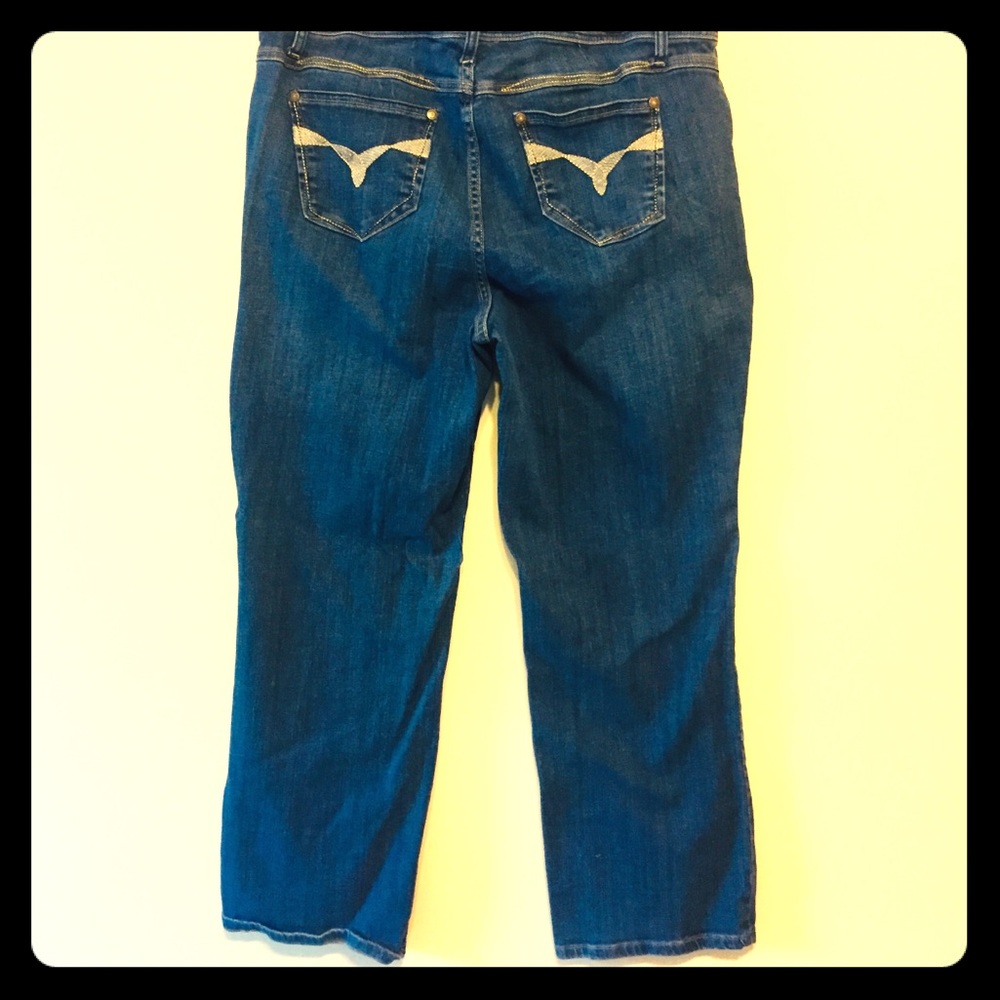 Faded Glory Stitched Embellished Jeans 22W